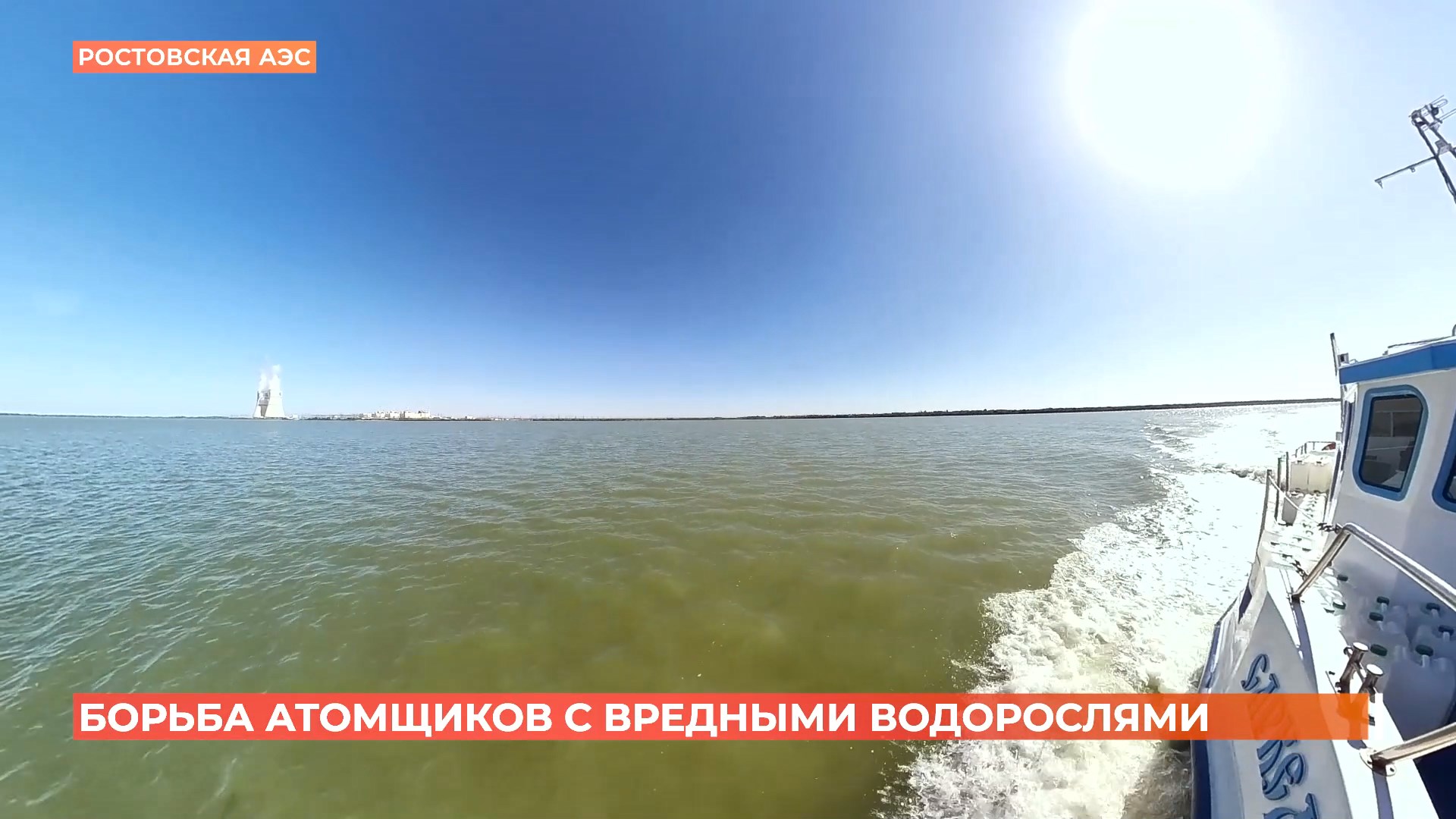 Побеждать цветение воды в пруду-охладителе Ростовской АЭС помогает хлорелла