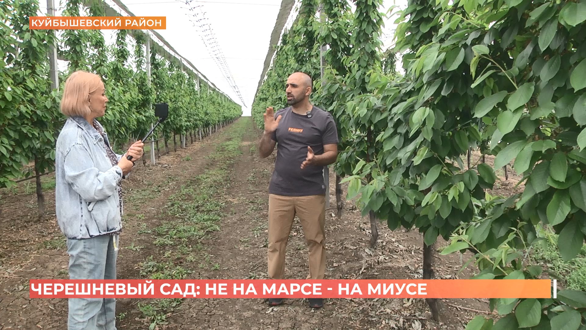 Инновации в садоводстве на Дону