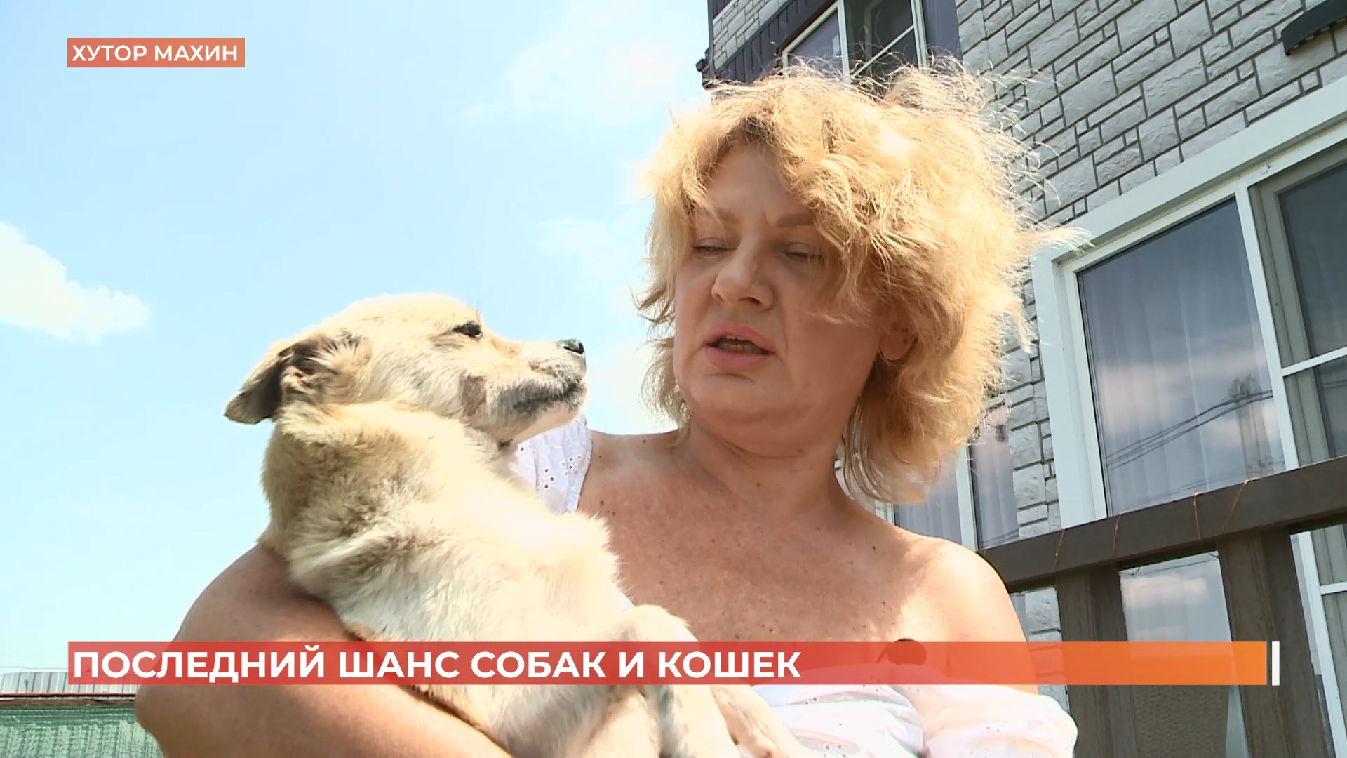 Ростовчанка вывезла из зоны затопления после разрушения Каховской ГЭС брошеных кошек и собак