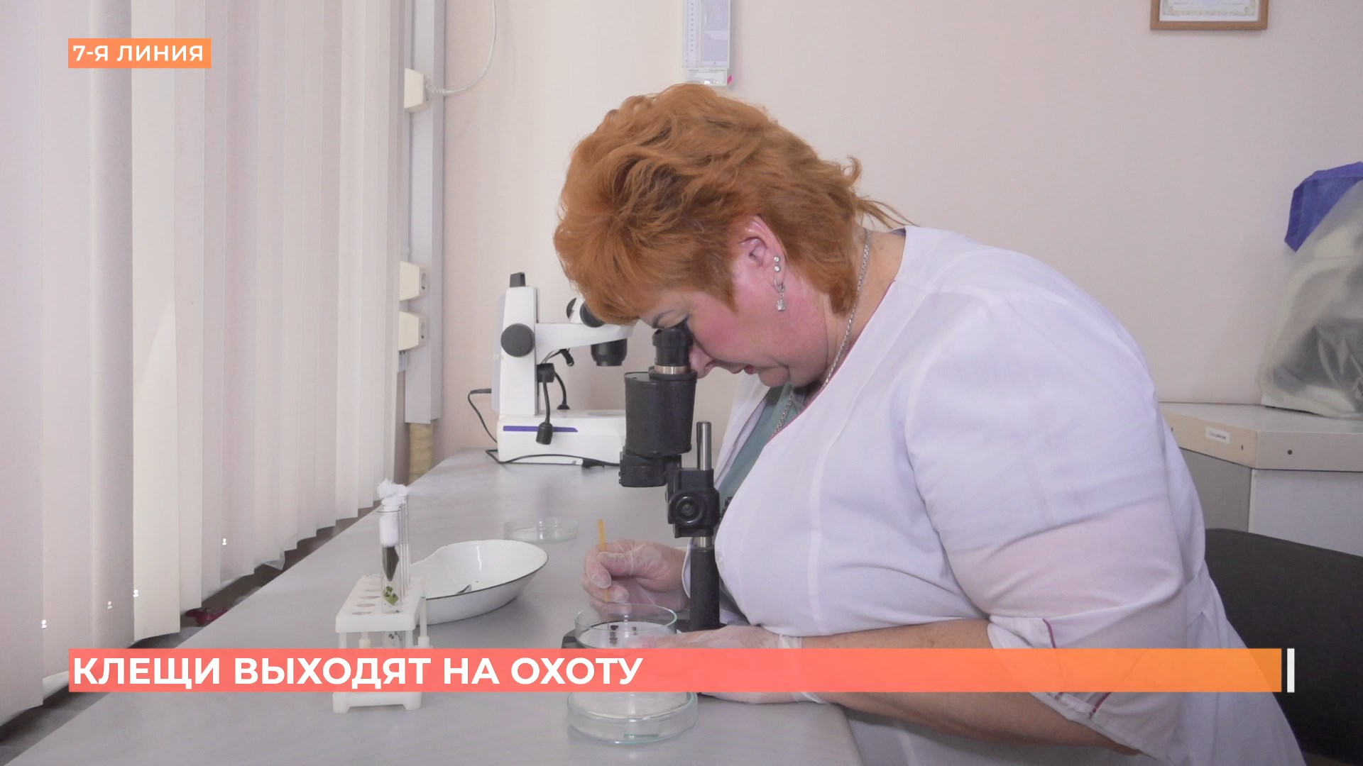 Сезон активности клещей начался в Ростовской области