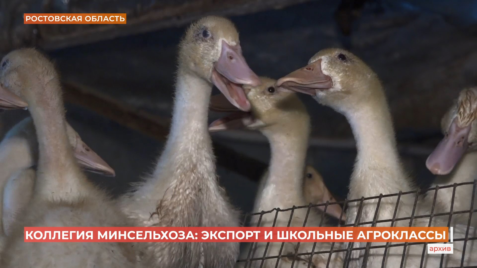 Специалистов для работы на селе будут готовить уже со школы