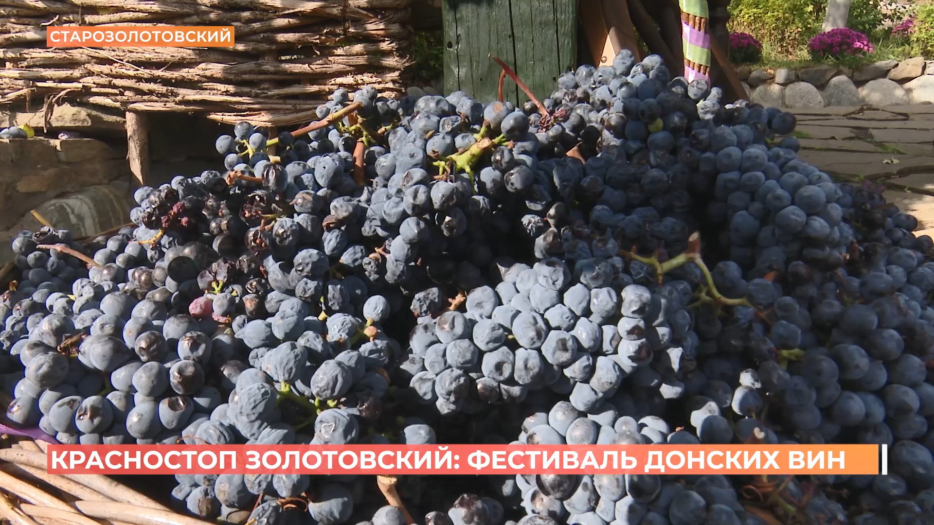 Фестиваль донских вин прошел в хуторе Старозолотовском