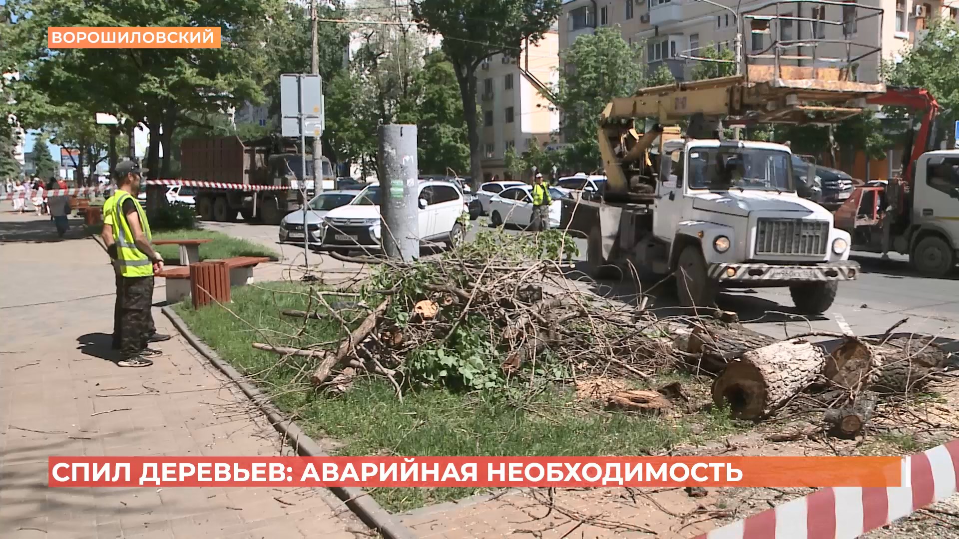 На Ворошиловском проспекте в Ростове провели обрезку аварийно-опасных деревьев