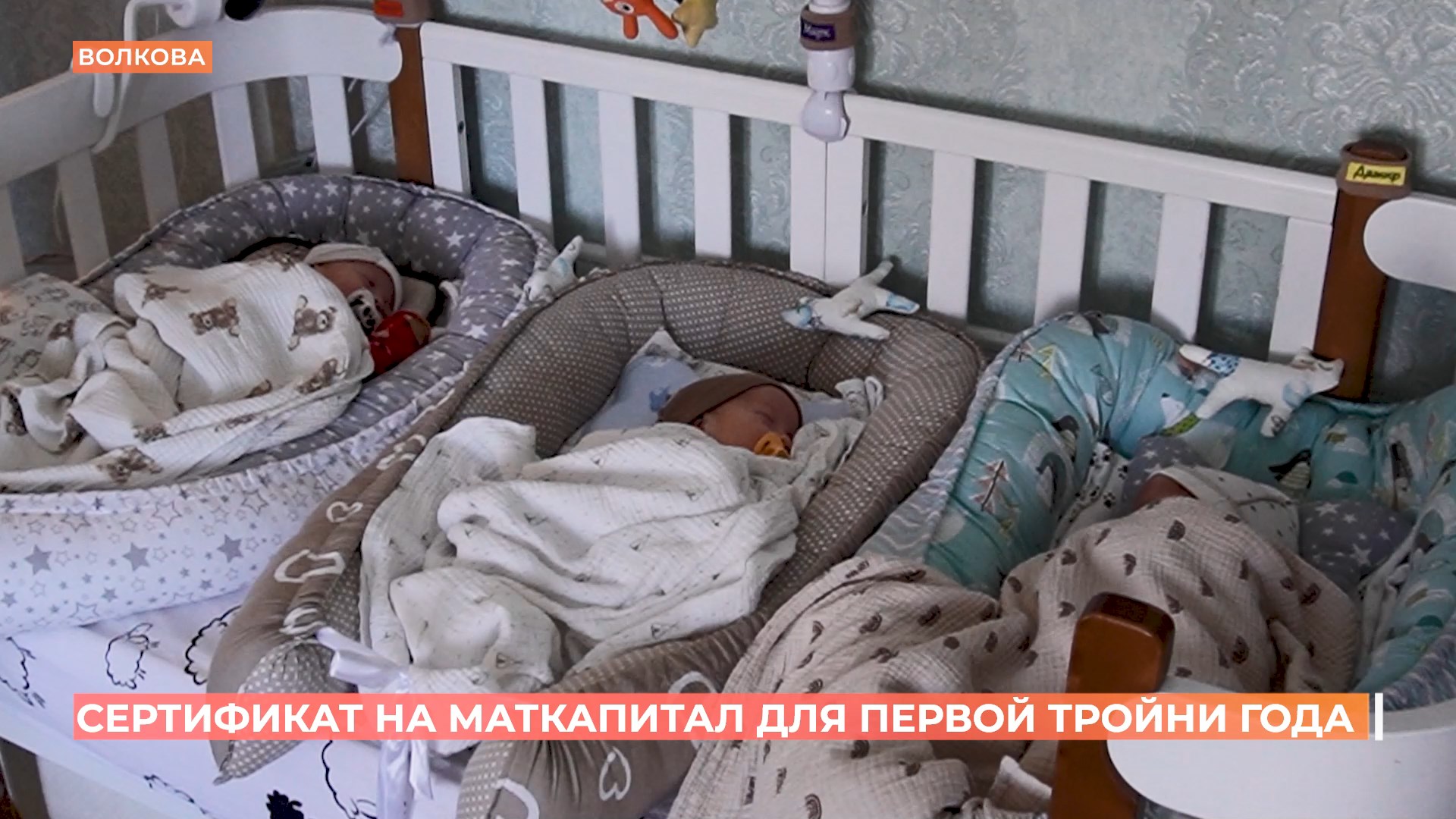 Родителям первой тройни года вручили сертификат на региональный материнский капитал