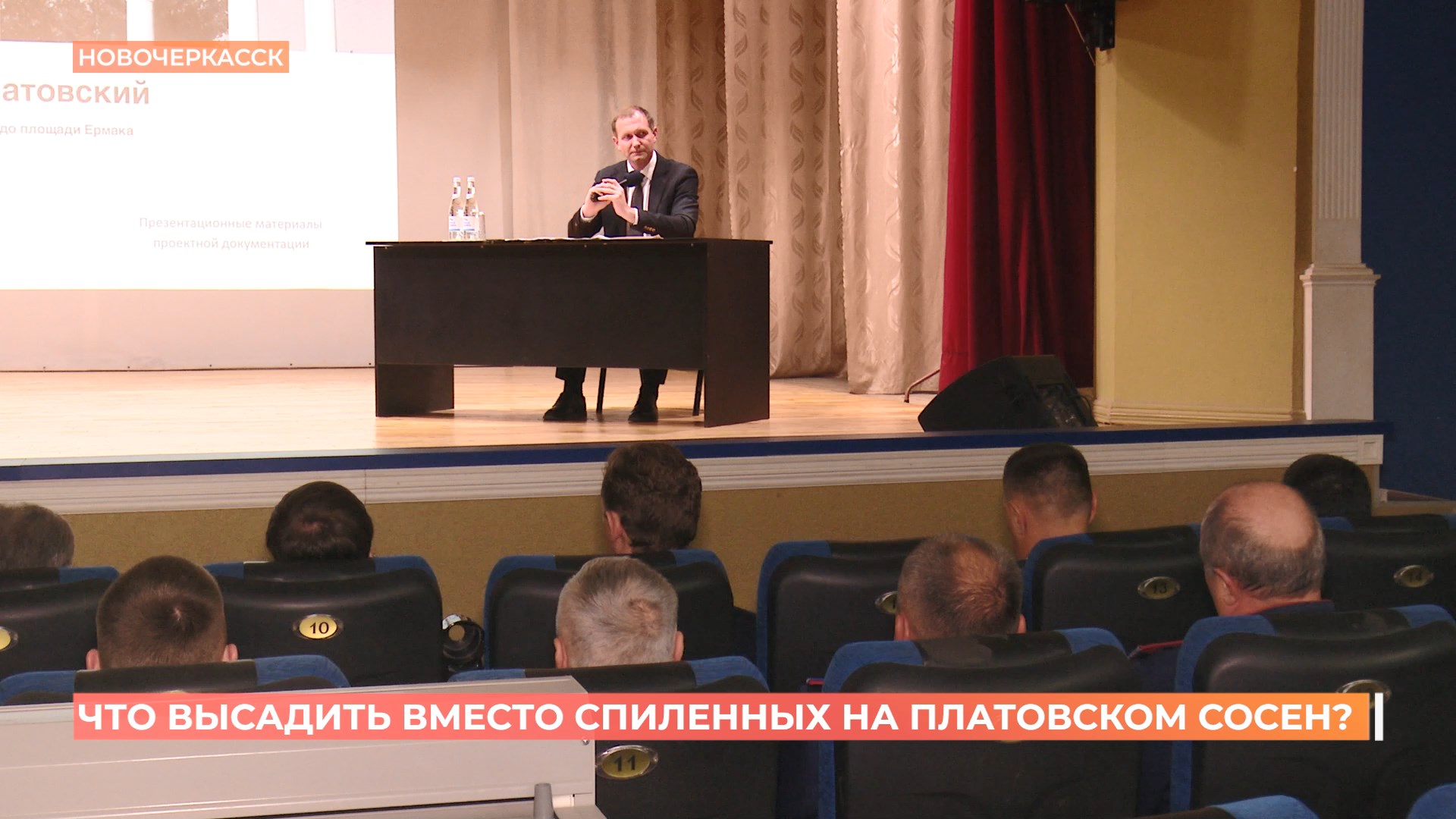 Что высадить вместо вырубленных на Платовском проспекте Новочеркасска сосен, решат онлайн-голосованием