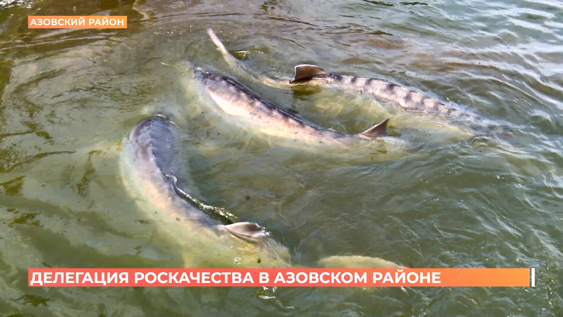 Делегация Роскачества посетила Азовский район