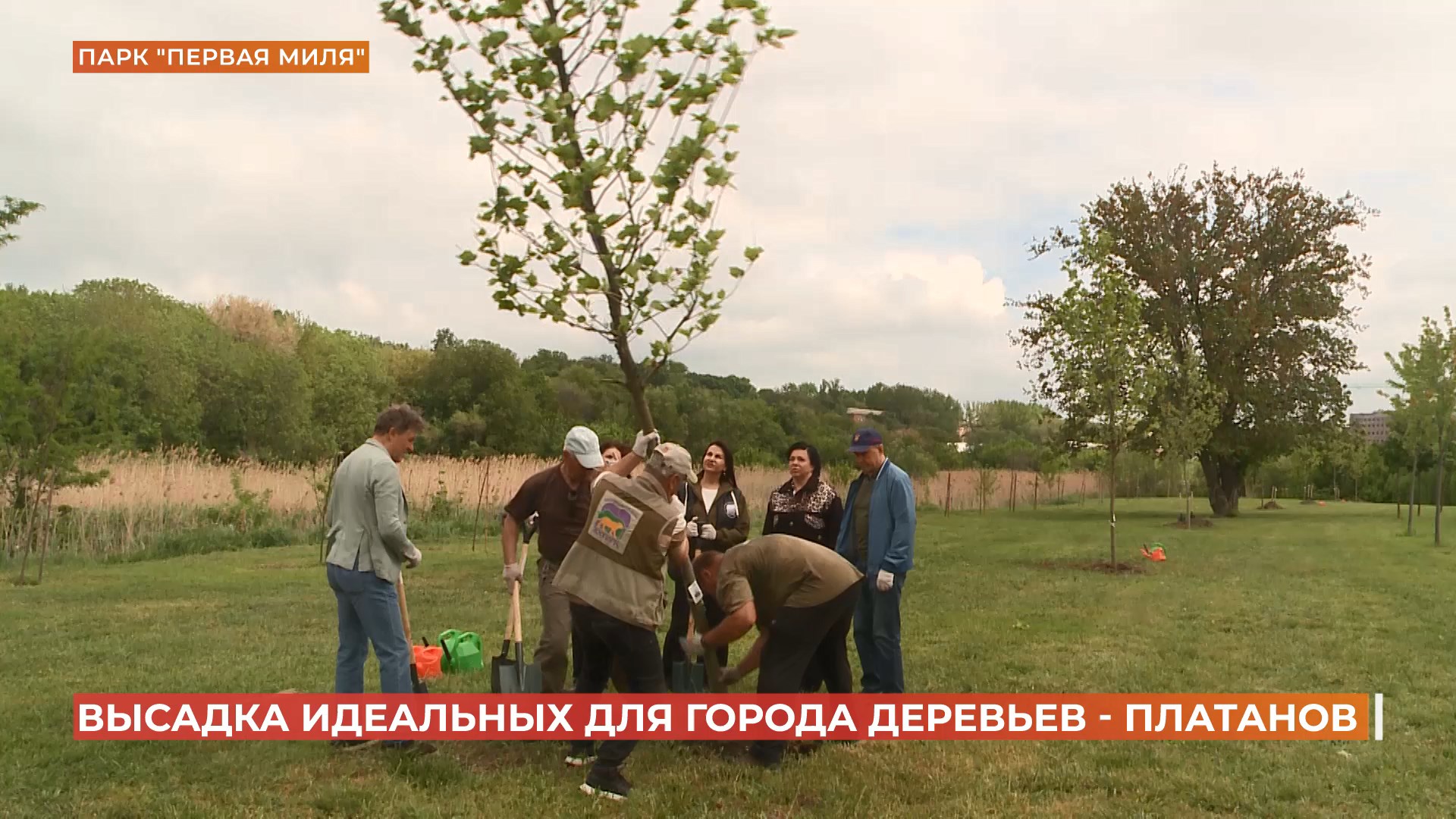 «Сад памяти»: в парке «Первая миля» высадили девять платанов