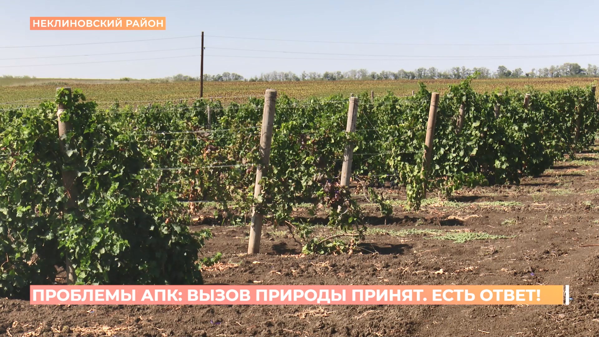 Проблемы АПК: вызов принят, есть ответ!