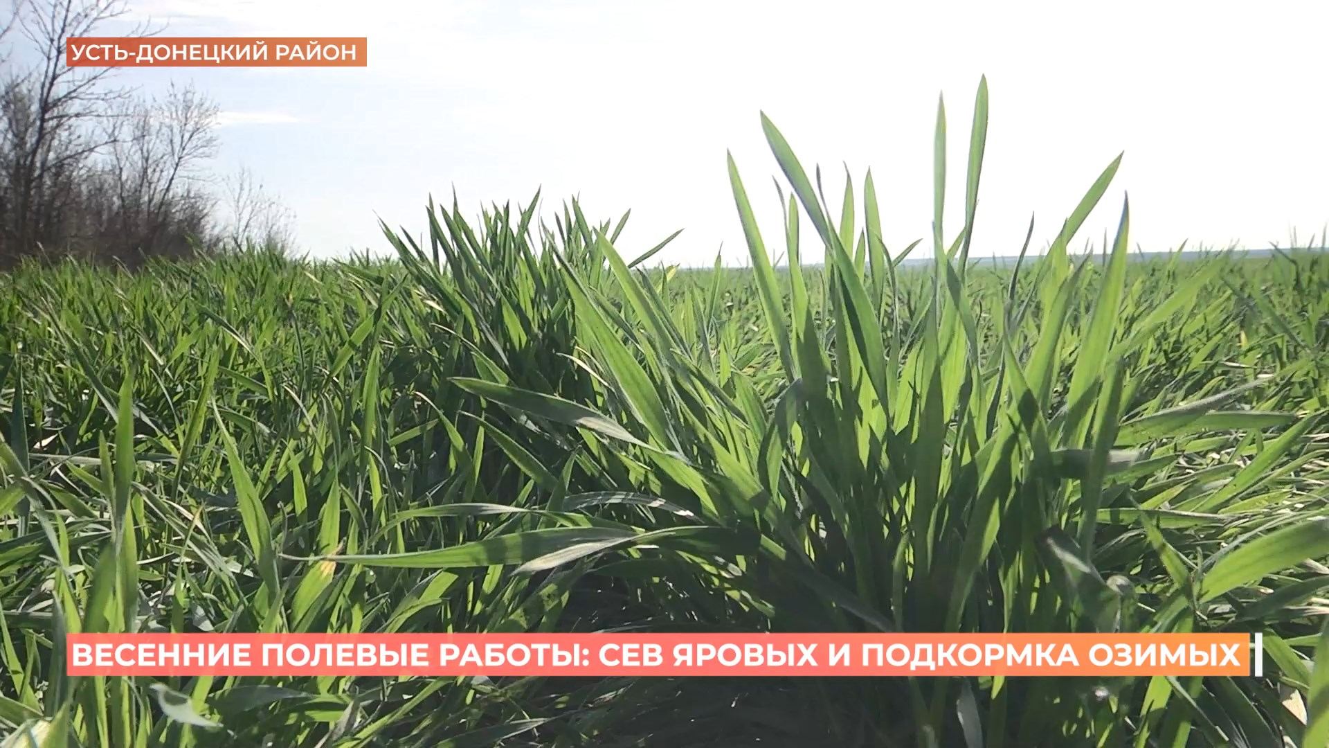 Весенние полевые работы идут полным ходом в Ростовской области