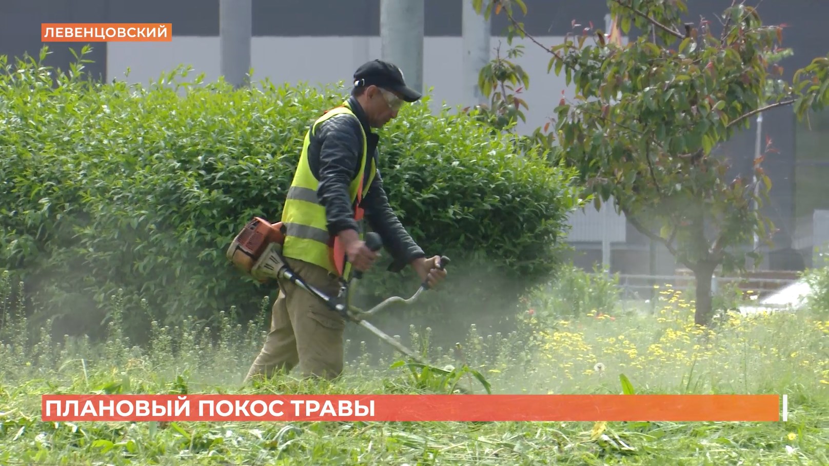 Плановый покос травы проводят в Ростове