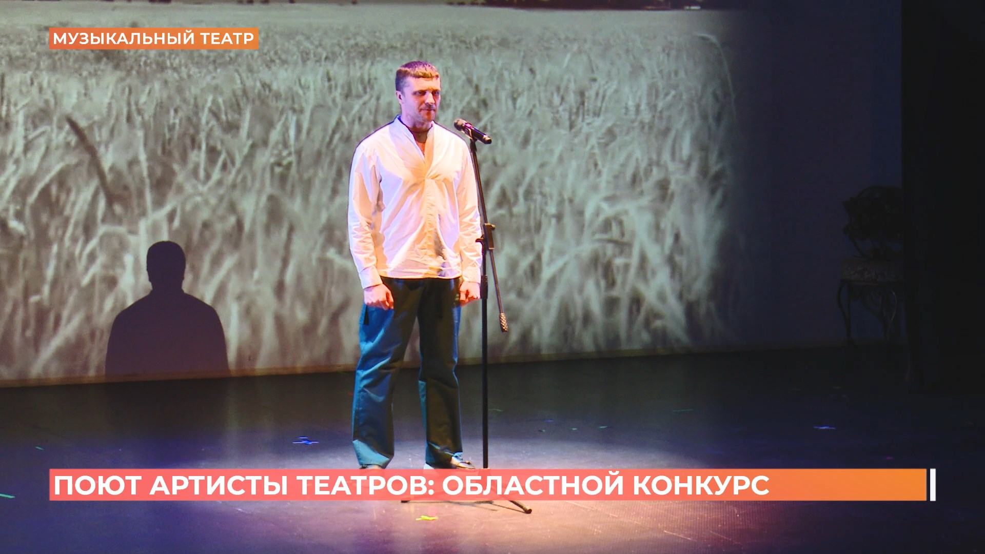«Поют артисты театров»: вокальный конкурс провели в ростовском музтеатре