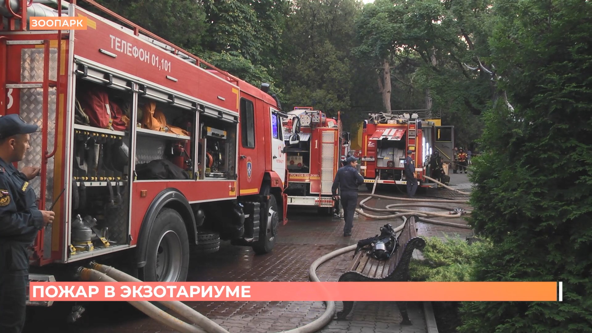 Пожар в ростовском зоопарке: животные и фонд музея не пострадали