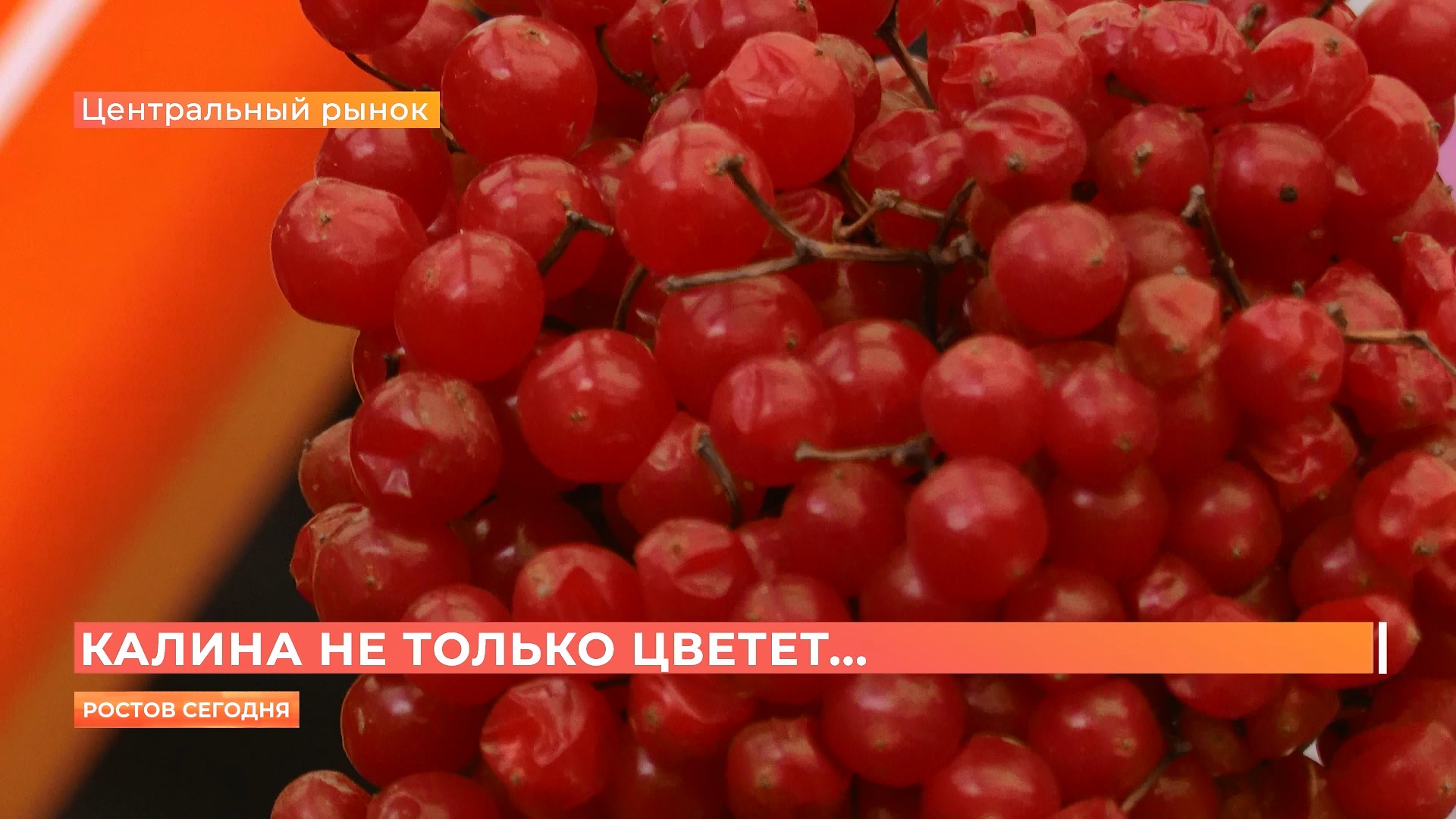 Ростов сегодня: вечерний выпуск. 17 ноября 2020