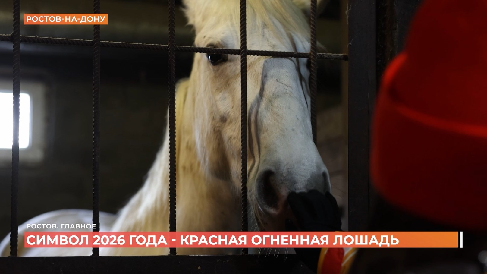 Ростов. Главное. 31 декабря 2025