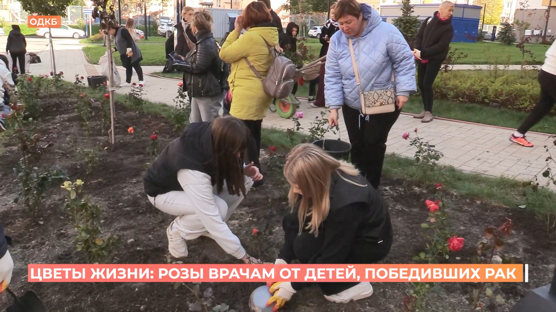 Цветы жизни: 101 роза врачам ОДКБ от детей, победивших рак