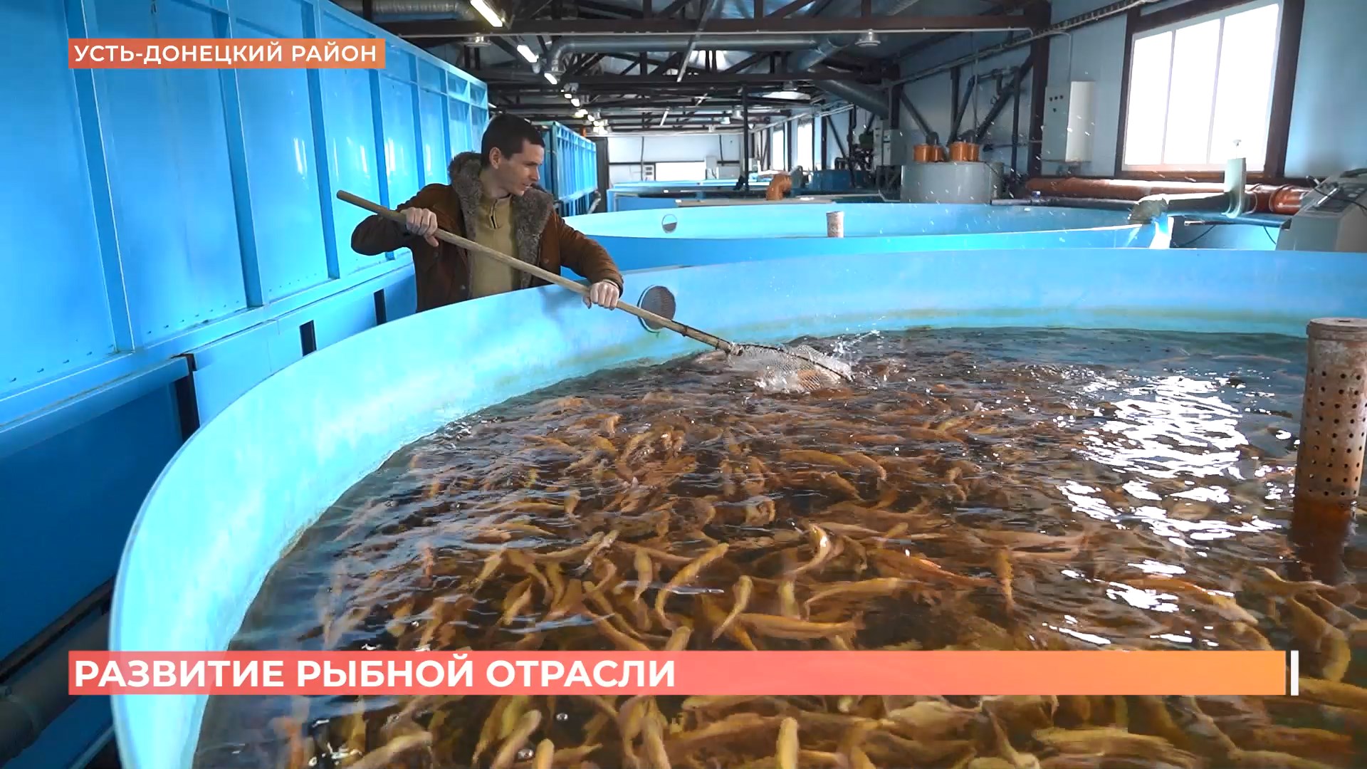 Развитие рыбной отрасли в донском регионе активно поддерживается из бюджета