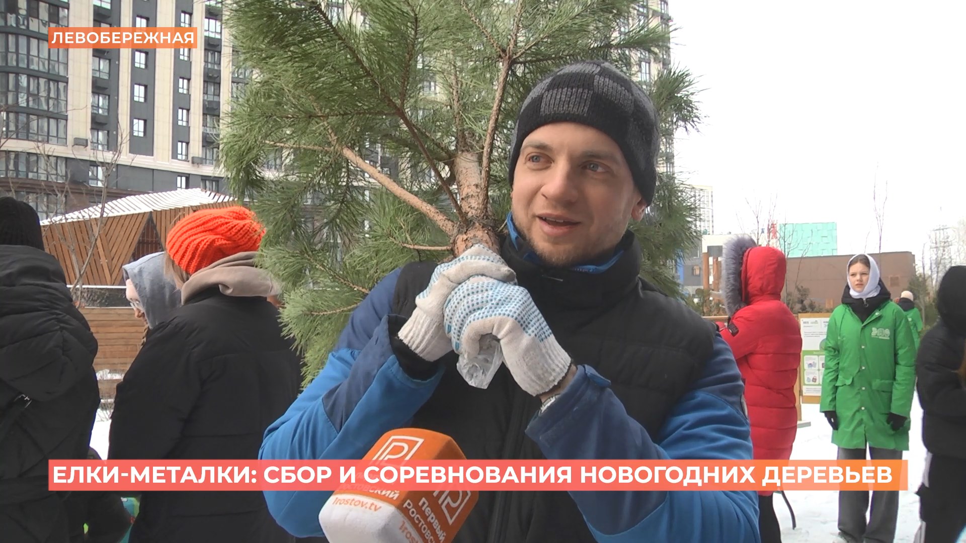 «Елки-металки»: акция по сбору и метанию новогодних деревьев прошла в Ростове