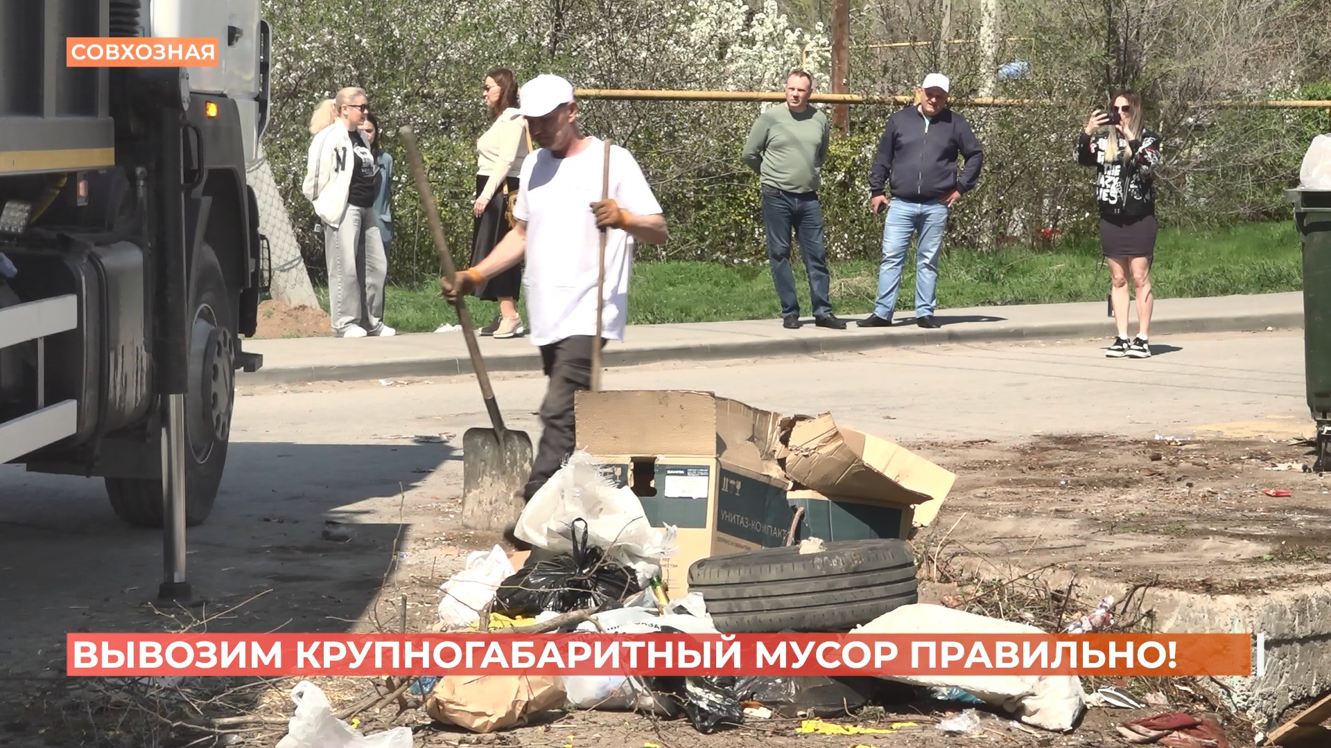 Борьба с серыми возчиками продолжается в Ростове и области