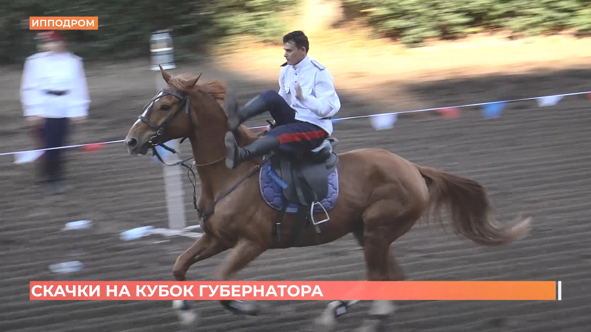 Первые скачки после долгой паузы: как Ростовский ипподром принял Кубок губернатора