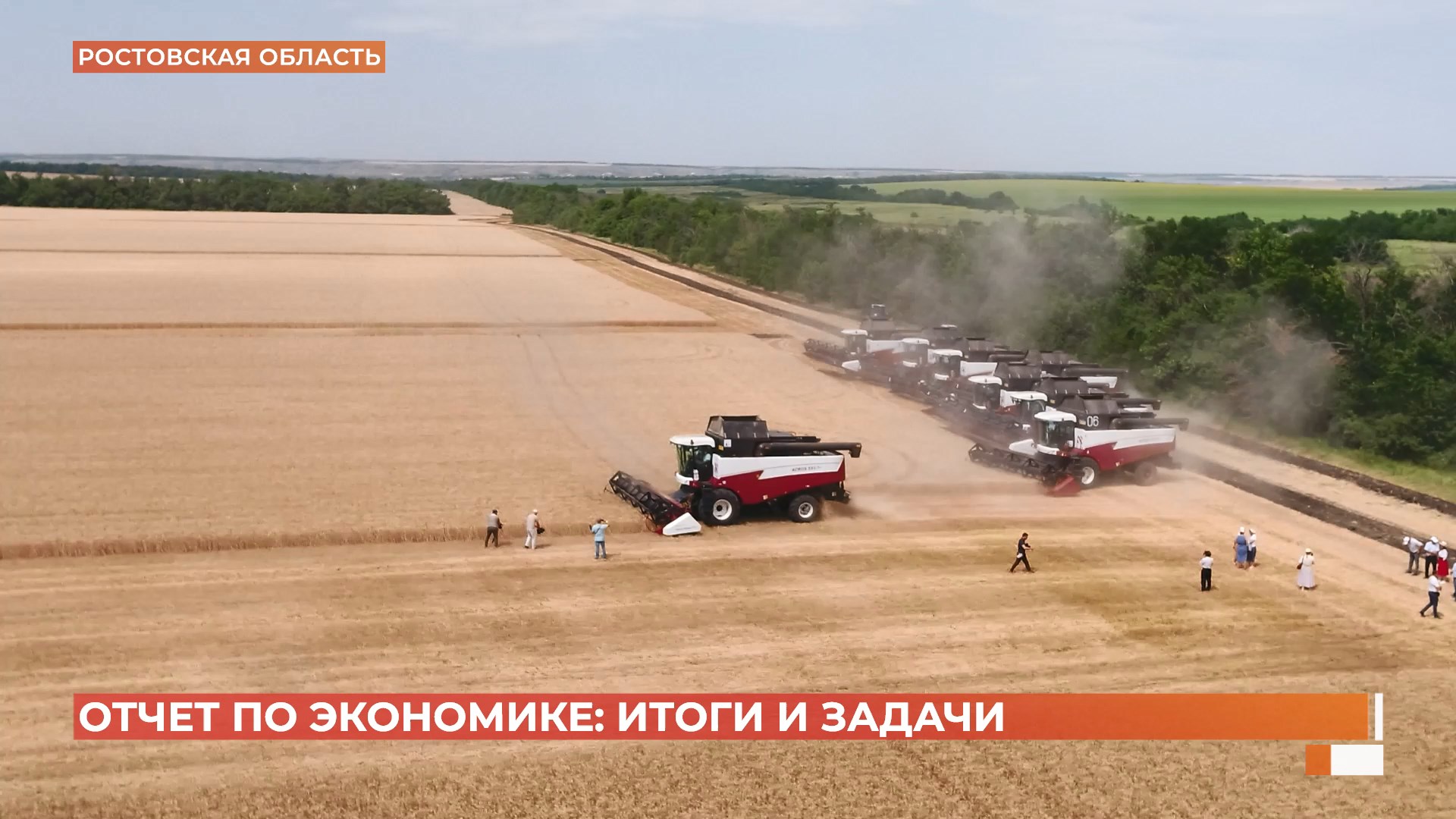 Привлечение инвесторов и защита донских производителей: отчетное совещание Минэкономразвития РО