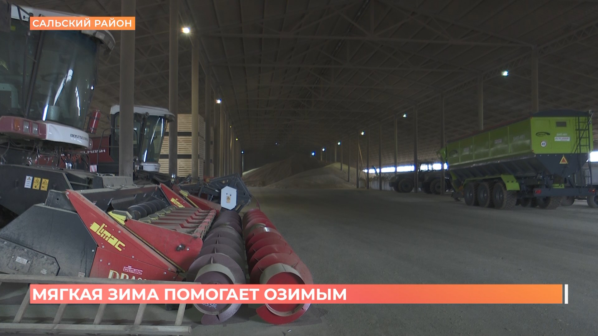 Мягкая зима помогает озимым посевам в Ростовской области