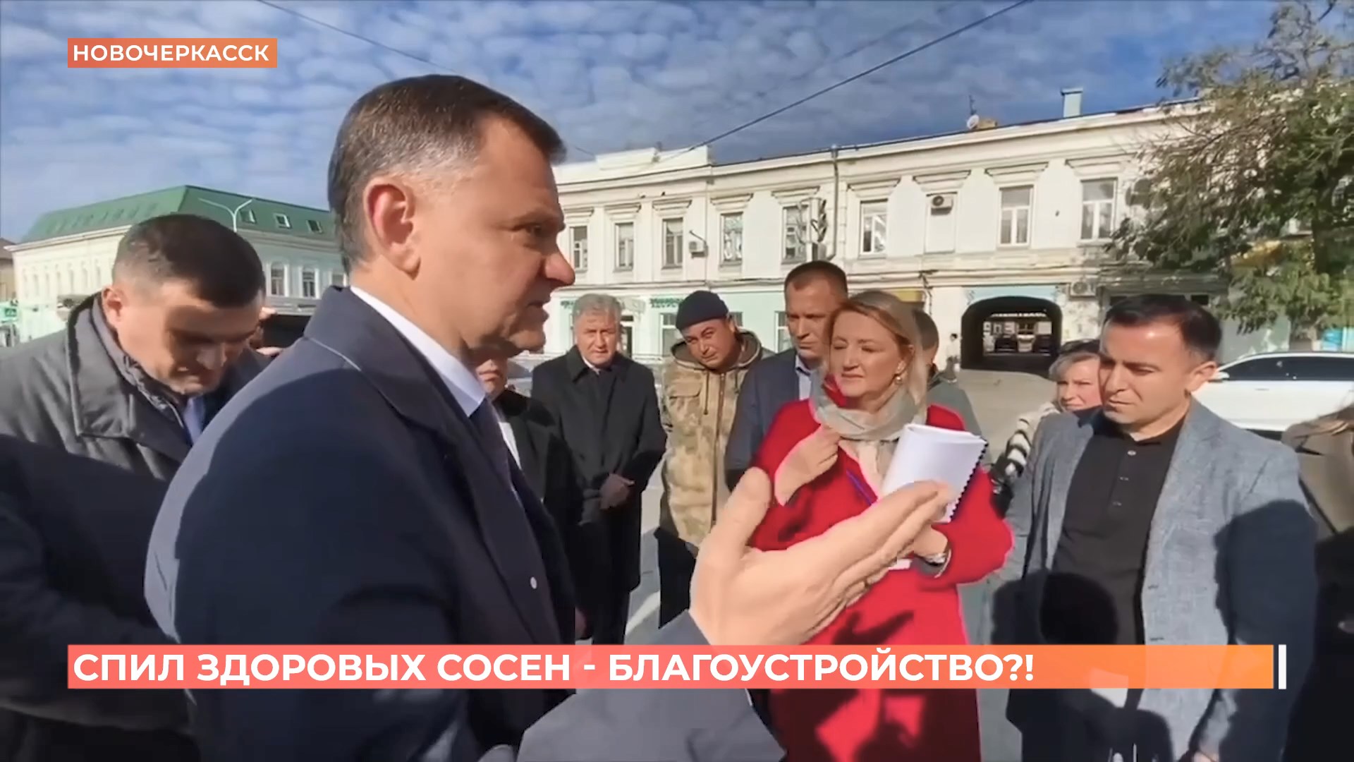 Скандал с деревьями в Новочеркасске: на Платовском проспекте спилили 30 60-летних сосен