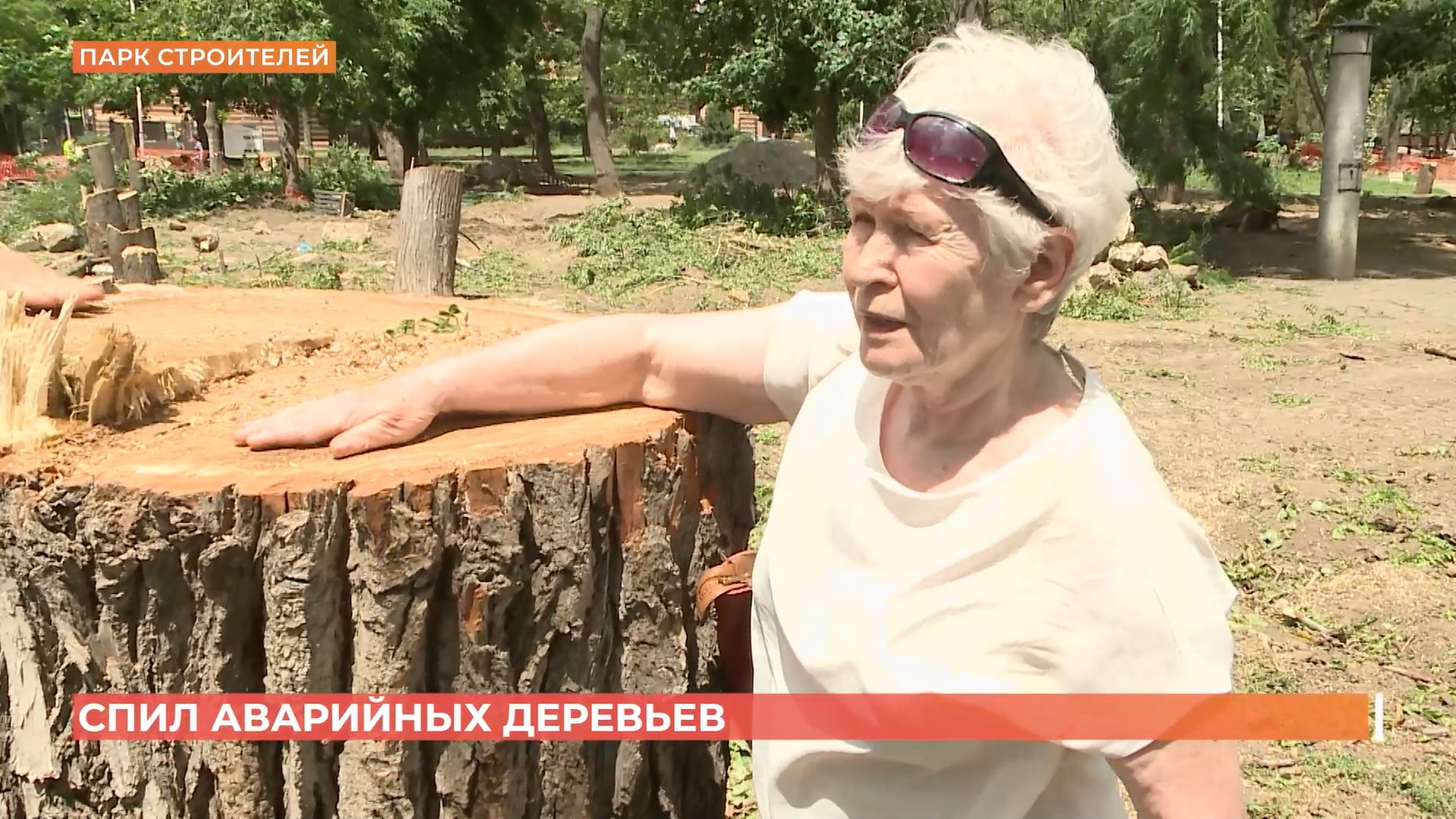 Спил аварийных деревьев проводится в Парке строителей