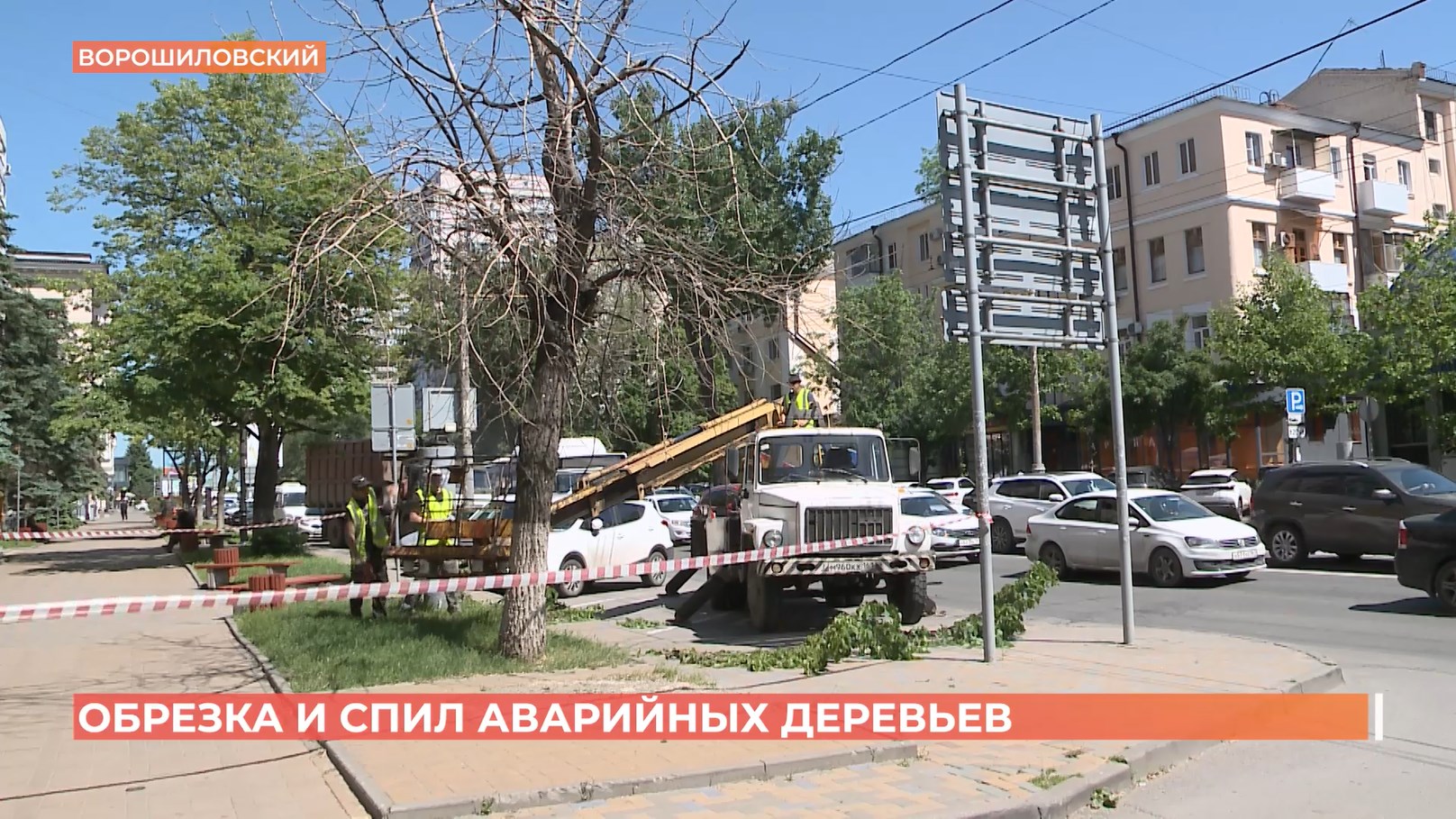 Обрезка и спил аварийных деревьев в Ростове