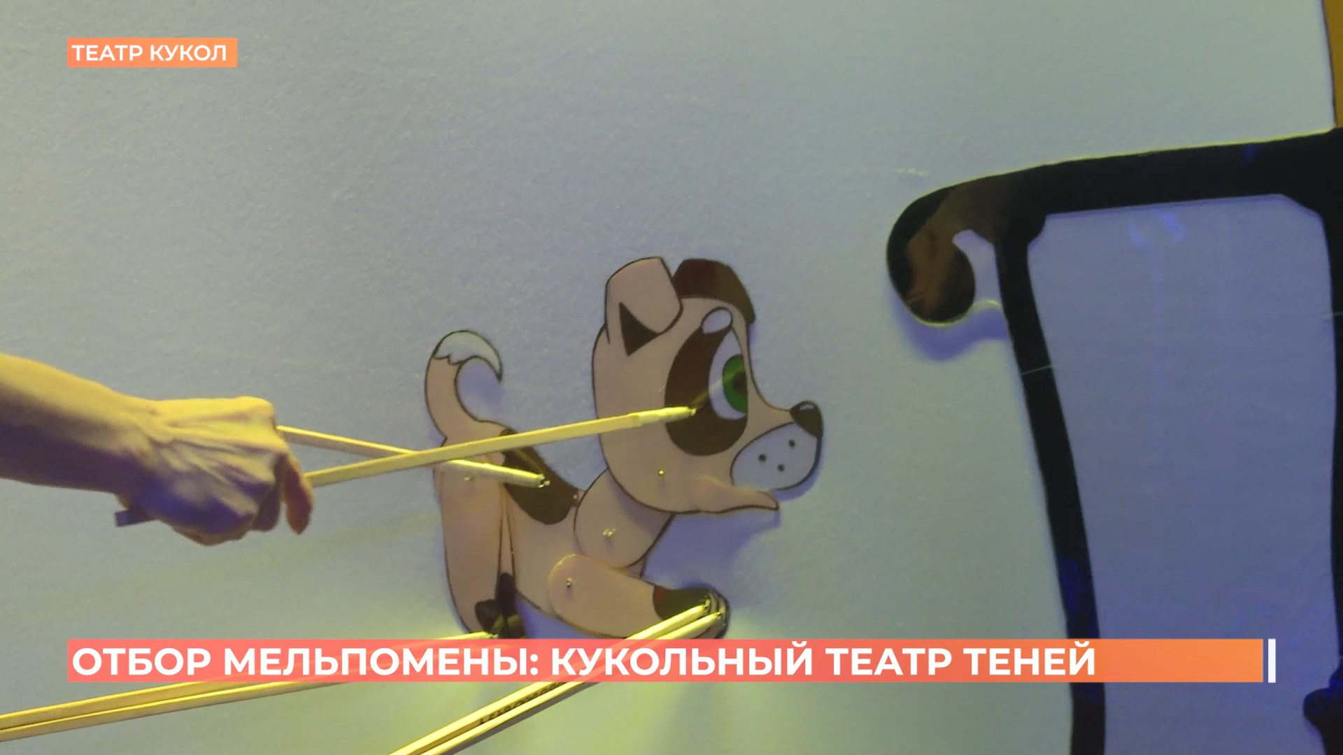 Ростовский театр кукол представил свой спектакль на фестивале «Мельпомена»