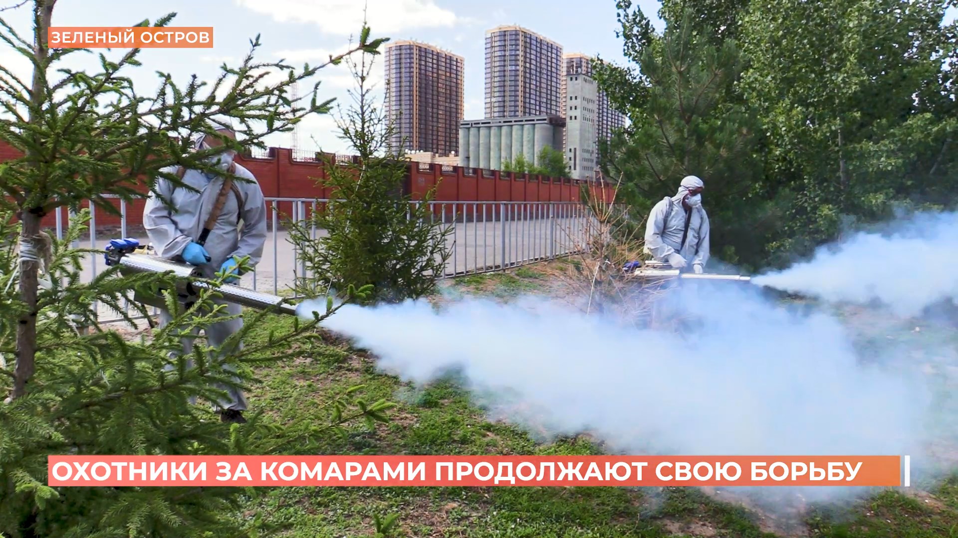 Борьбу с комарами активно продолжают в Ростове