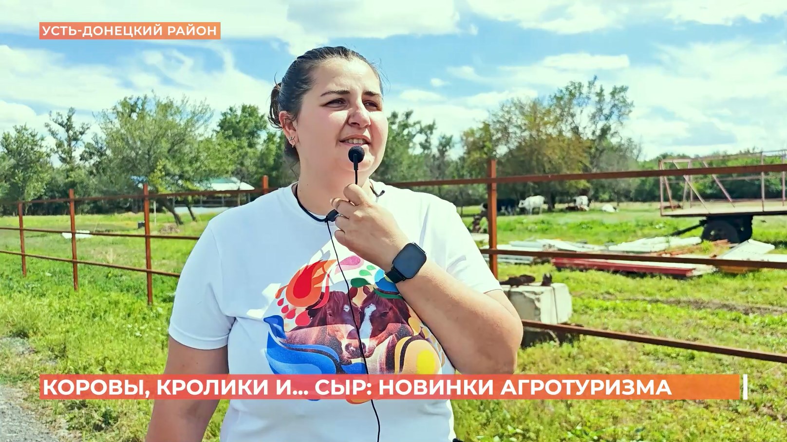 Коровы, кролики и сыр: новинки агротуризма в Ростовской области