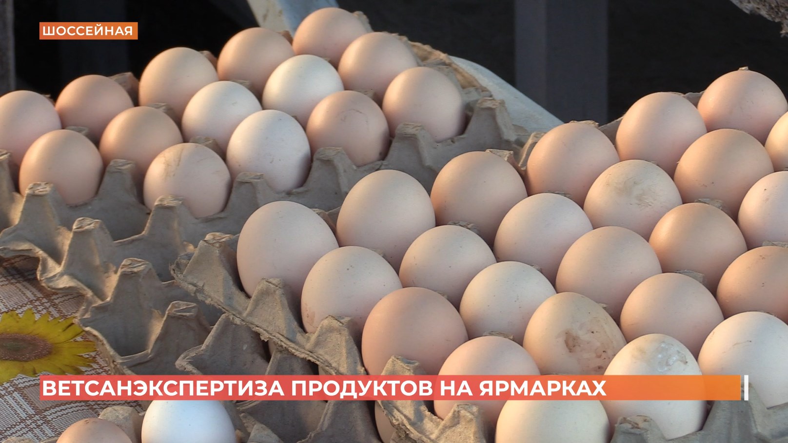 Продукты на ярмарках проверяет выездная лаборатория