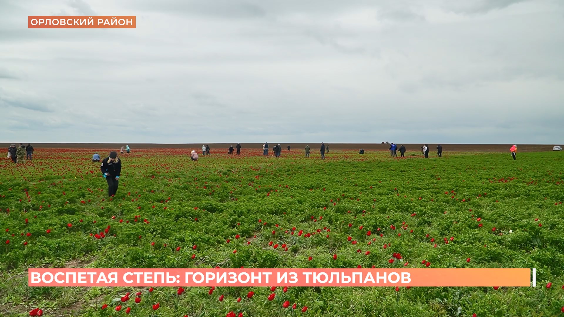 Фестиваль экологического туризма «Воспетая степь» прошел в Орловском районе
