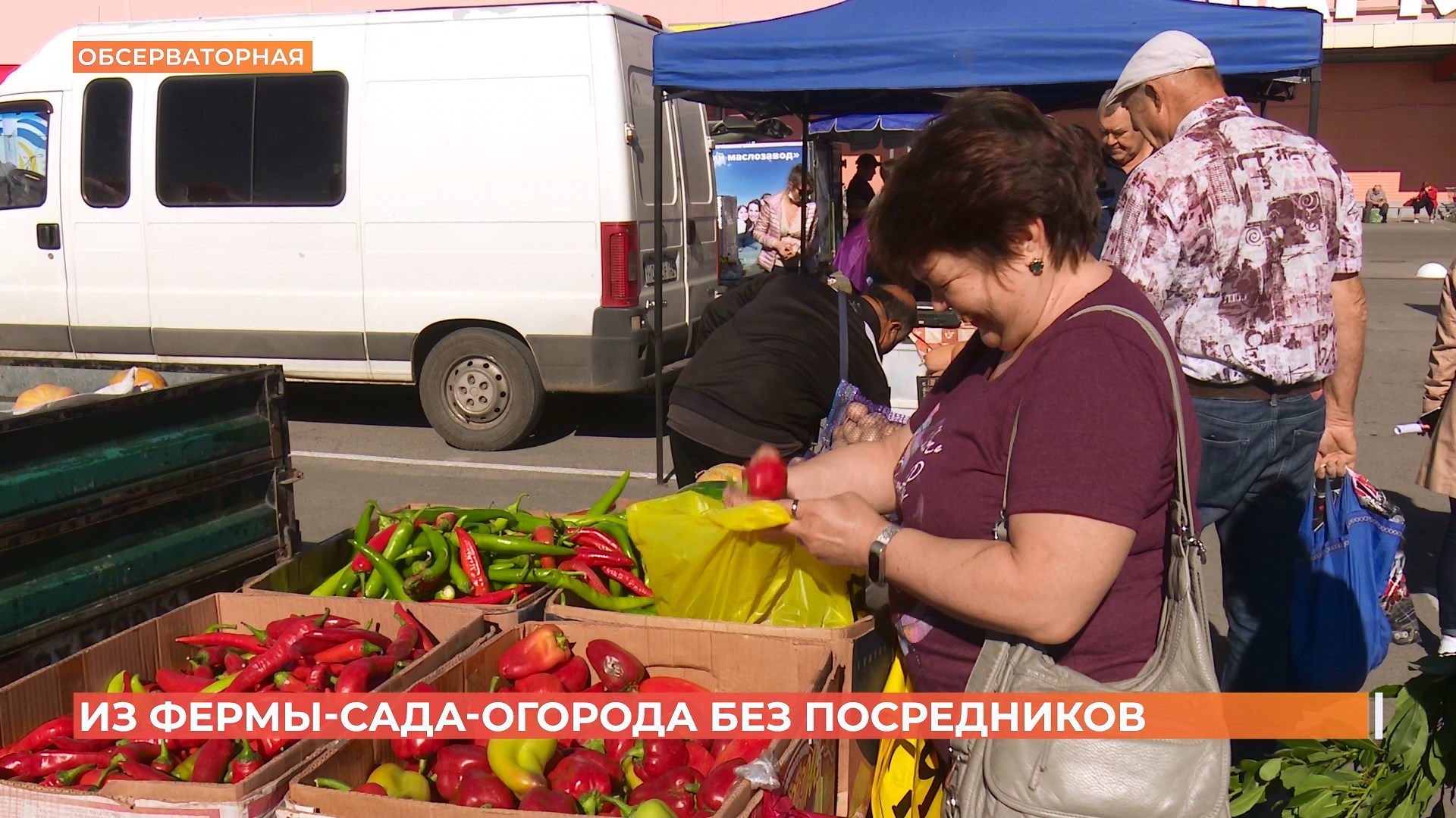 Сельскохозяйственная ярмарка прошла в Ростове на выходных