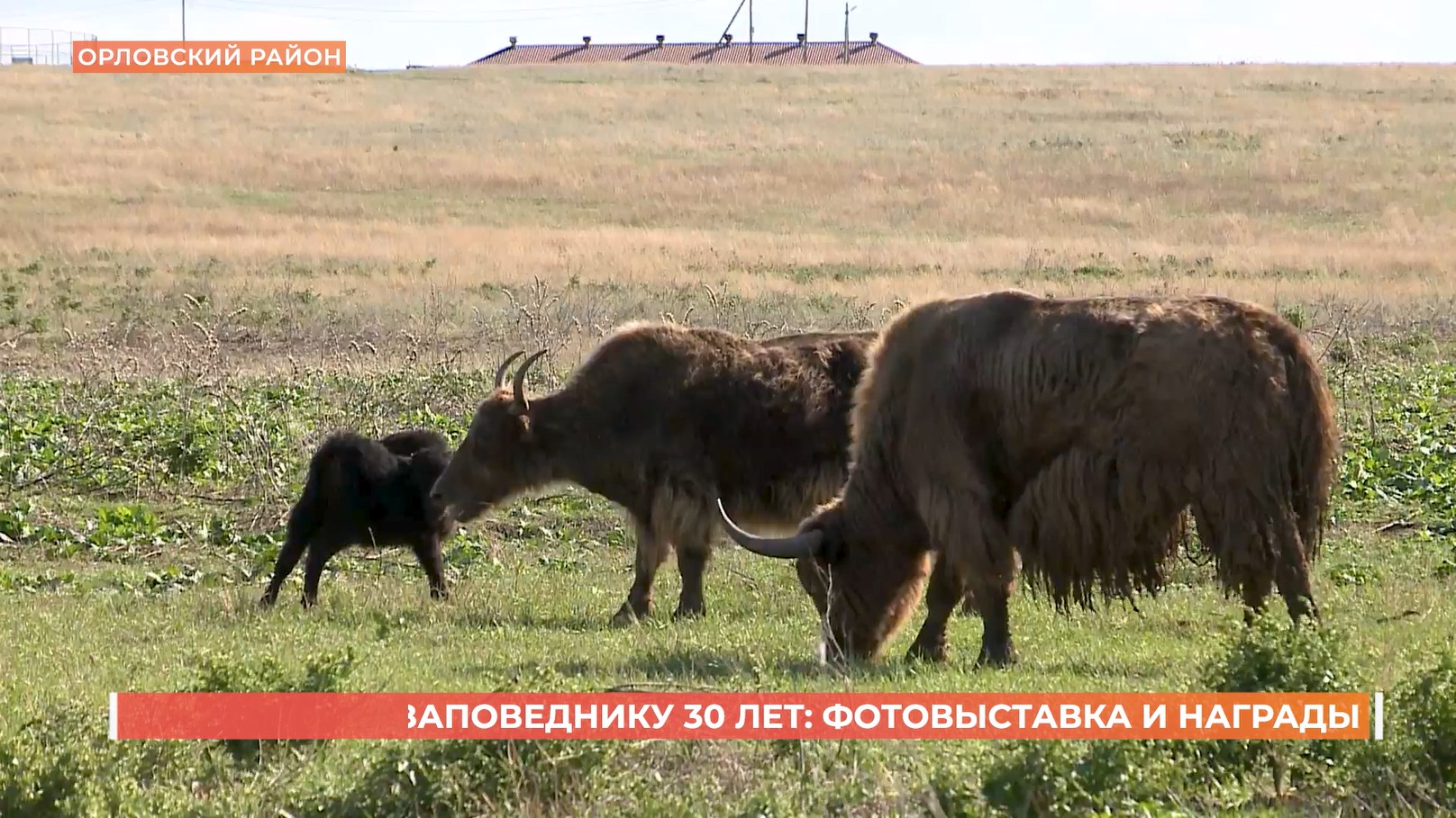 «Ростовскому» заповеднику 30 лет: фотовыставка и награды