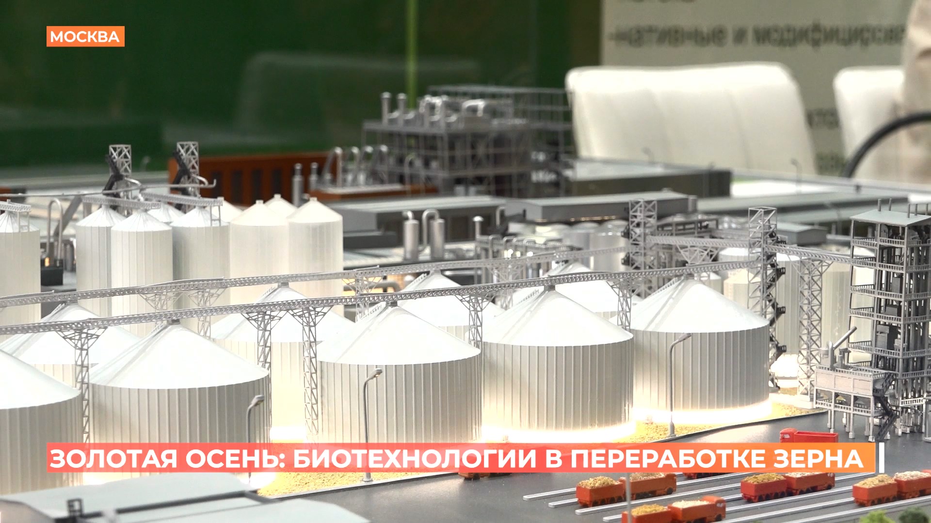 Золотая осень: биотехнологии в переработке зерна