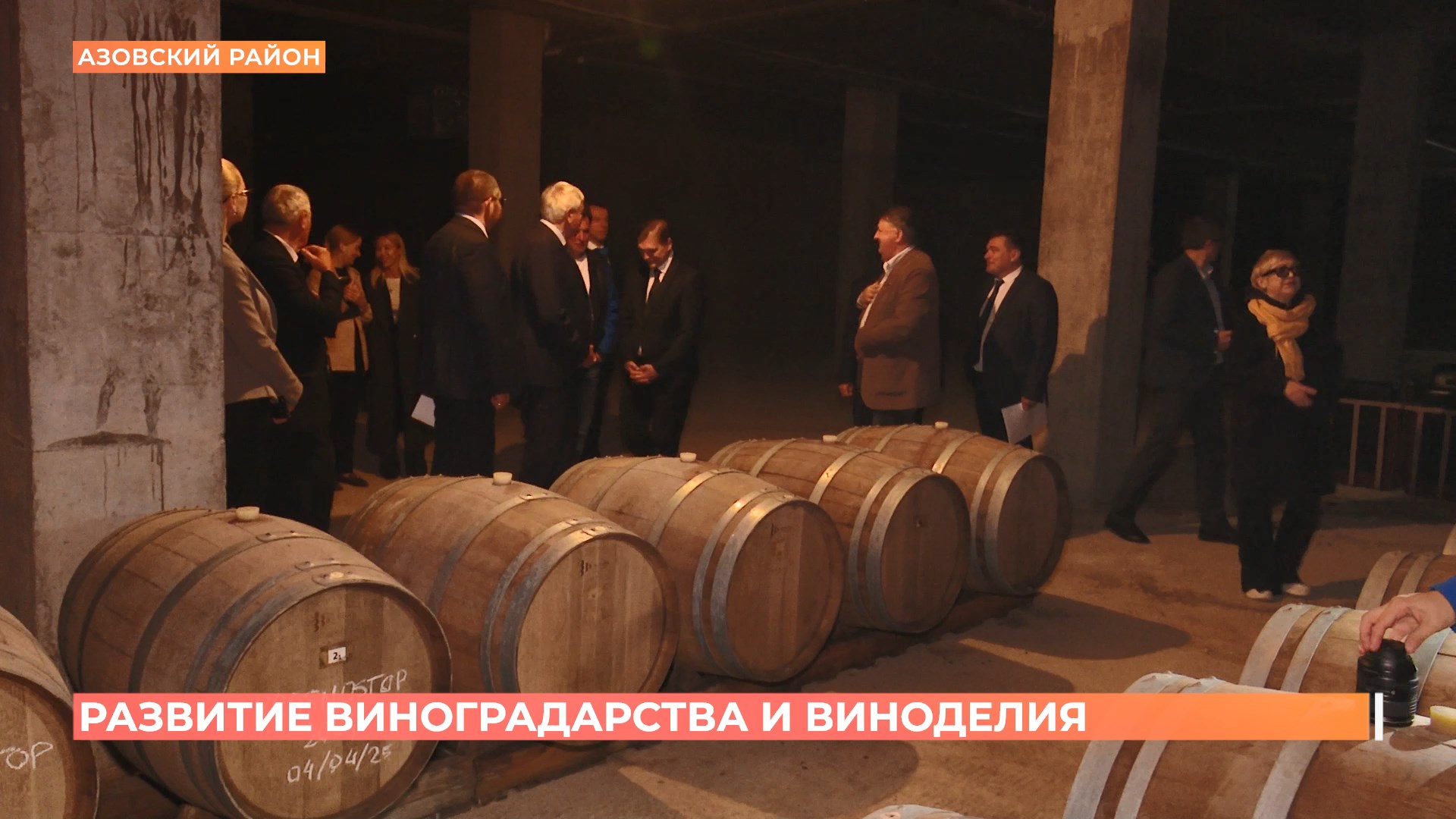 Развитие виноградарства и виноделия обсудили депутаты донского парламента